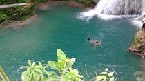 Private Führung zum Blue Hole und Dunn's River ab Montego Bay Private Führung zum Blue Hole und Dunn's River ab Montego Bay
