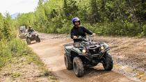 3,5-stündige Geländefahrt mit dem Quad-Bike ab Denali 3,5-stündige Geländefahrt mit dem Quad-Bike ab Denali