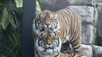 Eintrittskarte für den Auckland Zoo Eintrittskarte für den Auckland Zoo
