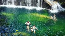 Découvrez les cascades et nagez avec des tortues au Vanuatu Découvrez les cascades et nagez avec des tortues au Vanuatu
