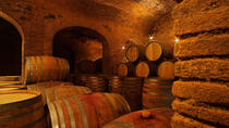 Priorat-Tour: Wein-, Olivenöl- und Geschichte ab Barcelona Priorat-Tour: Wein-, Olivenöl- und Geschichte ab Barcelona