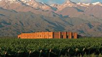 Privater Tagesausflug: Weinprobe mit Mittagessen in Mendoza Privater Tagesausflug: Weinprobe mit Mittagessen in Mendoza