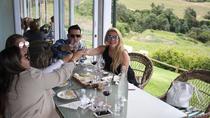 Halbtägige Premium-Constantia-Weintour ab Kapstadt Halbtägige Premium-Constantia-Weintour ab Kapstadt