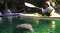 Excursão de caiaque com observação de peixes-boi no Parque Estadual Blue Springs, Orlando
