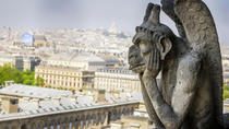 Ile de la Cité Rundgang einschließlich Aufstieg in den Notre Dame Turm Ile de la Cité Rundgang einschließlich Aufstieg in den Notre Dame Turm