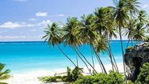 Ganztägige Küsten-Tour in Barbados Ganztägige Küsten-Tour in Barbados