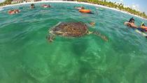 EXCURSION PRIVÉE à la baie d'Akumal, pays des tortues de mer, avec plongée et cénote EXCURSION PRIVÉE à la baie d'Akumal, pays des tortues de mer, avec plongée et cénote