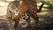 Entreebewijs voor GramadoZoo Entreebewijs voor GramadoZoo