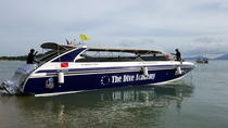 Private Chartertour: Sporttauchen vom Schnellboot aus ab Ko Samui Private Chartertour: Sporttauchen vom Schnellboot aus ab Ko Samui