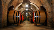Excursão de vinho de lua de mel em Chianti, Florença
