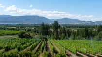 4-stündige Weintour im Okanagan Valley der Kelowna Lakeshore Wine Route 4-stündige Weintour im Okanagan Valley der Kelowna Lakeshore Wine Route