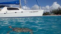 Croisière en catamaran de 5 heures en petit groupe au départ de Bridgetown avec déjeuner inclus Croisière en catamaran de 5 heures en petit groupe au départ de Bridgetown avec déjeuner inclus