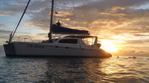 Katamaranfahrt in den Sonnenuntergang mit Schnorcheln in Bridgetown Katamaranfahrt in den Sonnenuntergang mit Schnorcheln in Bridgetown