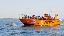 Bootstour mit Delfinbeobachtung und Höhlen Bootstour mit Delfinbeobachtung und Höhlen