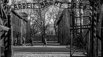 Auschwitz-Birkenau Gedenkstätte und Museum - Tour von Krakau aus Auschwitz-Birkenau Gedenkstätte und Museum - Tour von Krakau aus