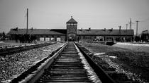 Auschwitz-Birkenau und Salzbergwerk Wieliczka - Ganztagestour ab Krakau Auschwitz-Birkenau und Salzbergwerk Wieliczka - Ganztagestour ab Krakau