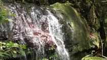 Ganztägiges Regenwald- und Wasserfallabenteuer ab San Juan Ganztägiges Regenwald- und Wasserfallabenteuer ab San Juan