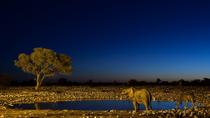 Safarifahrt bei Nacht und Busch-Abendessen ab Victoria Falls Safarifahrt bei Nacht und Busch-Abendessen ab Victoria Falls