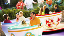 5-Tage-Disneyland Resort-Ticket 5-Tage-Disneyland Resort-Ticket
