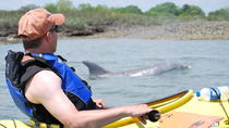 Visite en petit groupe : éco-excursion de 2 heures en kayak dans les marais à Charleston Visite en petit groupe : éco-excursion de 2 heures en kayak dans les marais à Charleston