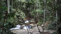 Berge der Gold Coast einschließlich Springbrook National Park und Mount Tamborine Berge der Gold Coast einschließlich Springbrook National Park und Mount Tamborine