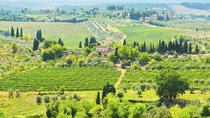 Halvprivat matlagningskurs i en toskansk villa med marknadsbesök i Chianti Halvprivat matlagningskurs i en toskansk villa med marknadsbesök i Chianti