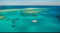 Tauch- und Schnorchelbootstour im Great Barrier Reef ab Townsville oder Mission Beach Tauch- und Schnorchelbootstour im Great Barrier Reef ab Townsville oder Mission Beach