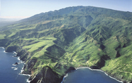 Recorrido en helicóptero por Maui occidental y Molokai de 60 minutos Recorrido en helicóptero por Maui occidental y Molokai de 60 minutos