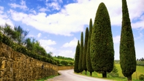 Sabor de Chianti: queso toscano, vino y almuerzo, desde Florencia Sabor de Chianti: queso toscano, vino y almuerzo, desde Florencia
