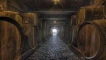 Domaine vinicole de Bodegas Monje à Tenerife avec dégustation de vins et de fromages Domaine vinicole de Bodegas Monje à Tenerife avec dégustation de vins et de fromages