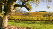 Excursión a región vinícola de Napa y Sonoma en grupo pequeño con almuerzo Excursión a región vinícola de Napa y Sonoma en grupo pequeño con almuerzo