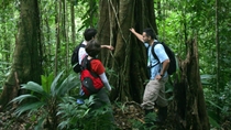 Aventura por el bosque tropical de San José Aventura por el bosque tropical de San José