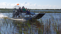 Tour privado: paseo en hidrodeslizador por los Everglades de Florida y aventura de fauna y flora Tour privado: paseo en hidrodeslizador por los Everglades de Florida y aventura de fauna y flora