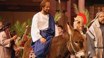 Domingo de Ramos en Jerusalén: misa en Betfagé y procesión por la Vía Dolorosa con transporte desde Tel Aviv Domingo de Ramos en Jerusalén: misa en Betfagé y procesión por la Vía Dolorosa con transporte desde Tel Aviv