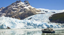 Croisière touristique au glacier avec déjeuner gastronomique Croisière touristique au glacier avec déjeuner gastronomique
