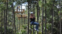 Zipline-Safari im Forever Florida Zipline-Safari im Forever Florida