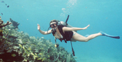 Excursión de un día desde Cancún a Cozumel para hacer submarinismo Excursión de un día desde Cancún a Cozumel para hacer submarinismo