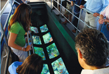 Visite en bateau à fond vitré à Key West au coucher du soleil (selon votre choix) Visite en bateau à fond vitré à Key West au coucher du soleil (selon votre choix)