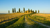 Excursão terrestre em Livorno: excursão particular vinícola por Chianti e pelo interior da Toscana Excursão terrestre em Livorno: excursão particular vinícola por Chianti e pelo interior da Toscana