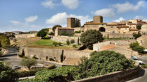Excursion en bord de mer à Civitavecchia : excursion privée d'une journée à Tarquinia et Tuscania Excursion en bord de mer à Civitavecchia : excursion privée d'une journée à Tarquinia et Tuscania