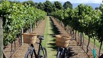 Recorrido en bicicleta eléctrica de medio día por el viñedo con cata de vinos desde Niza Recorrido en bicicleta eléctrica de medio día por el viñedo con cata de vinos desde Niza