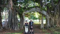 Segway-tour in Honolulu: Kapiolani Park, Makalei Beach Park en Queen's Surf Beach Segway-tour in Honolulu: Kapiolani Park, Makalei Beach Park en Queen's Surf Beach