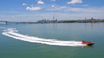 Excursión por la costa de Auckland: paseo en lancha motora en puerto Waitemata Excursión por la costa de Auckland: paseo en lancha motora en puerto Waitemata