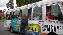 Excursión oficial de Excursión oficial de