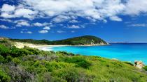 Offerta speciale Melbourne: Great Ocean Road più Wilsons Promontory e Melbourne Attraction Pass Offerta speciale Melbourne: Great Ocean Road più Wilsons Promontory e Melbourne Attraction Pass