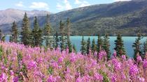Excursão terrestre de Skagway: excursão de meio dia até a fronteira de Yukon, Skagway