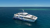 Tauch- und Schnorchelbootstour zum Great Barrier Reef ab Port Douglas Tauch- und Schnorchelbootstour zum Great Barrier Reef ab Port Douglas
