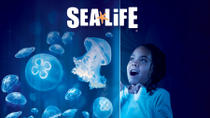 SEA LIFE Orlando Aquarium SEA LIFE Orlando Aquarium