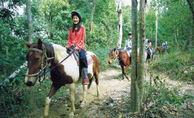 Passeio de cavalo saindo de Cairns Passeio de cavalo saindo de Cairns
