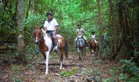 Équitation, et en tout-terrain d'une journée complète au départ de Cairns Équitation, et en tout-terrain d'une journée complète au départ de Cairns